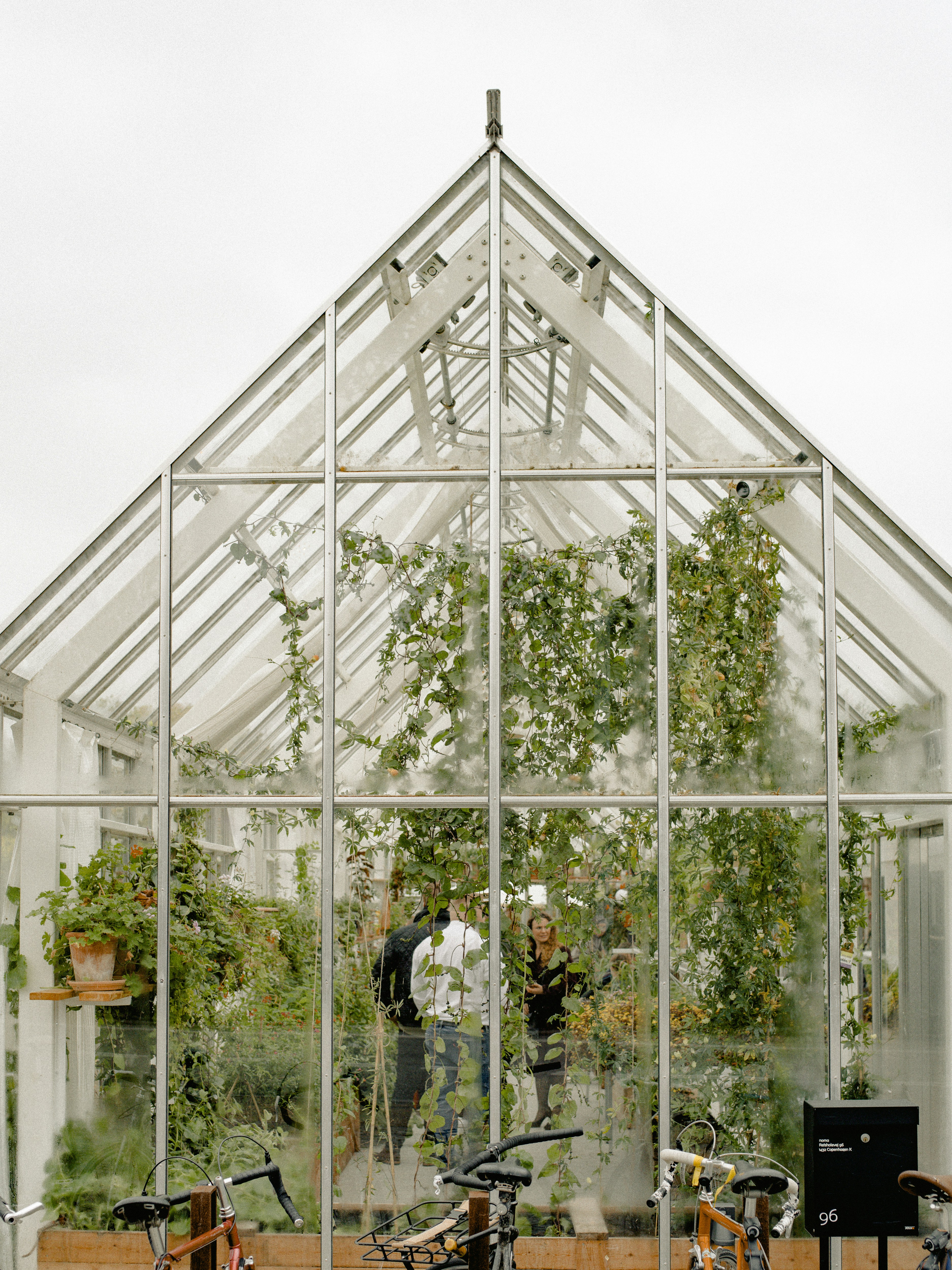 A Greenhouse With Plants Growing In It